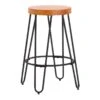 Honeybloom Bristol Counter Stool