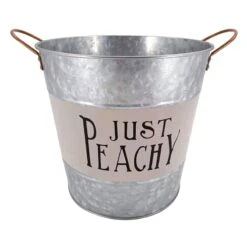 Ovl Galv Jst Peachy L